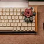 a keyboard and mouse